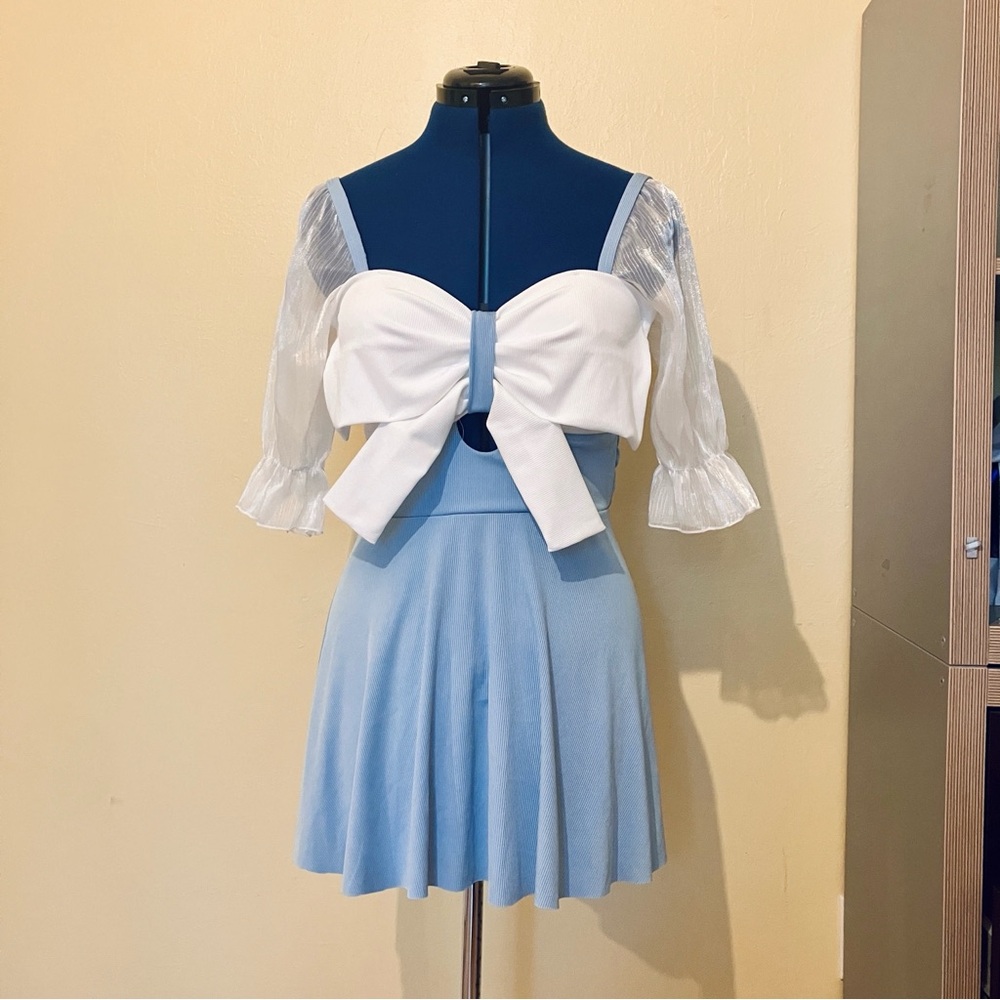 Blue and White Two Piece Kawaii Cute Bathing Suit